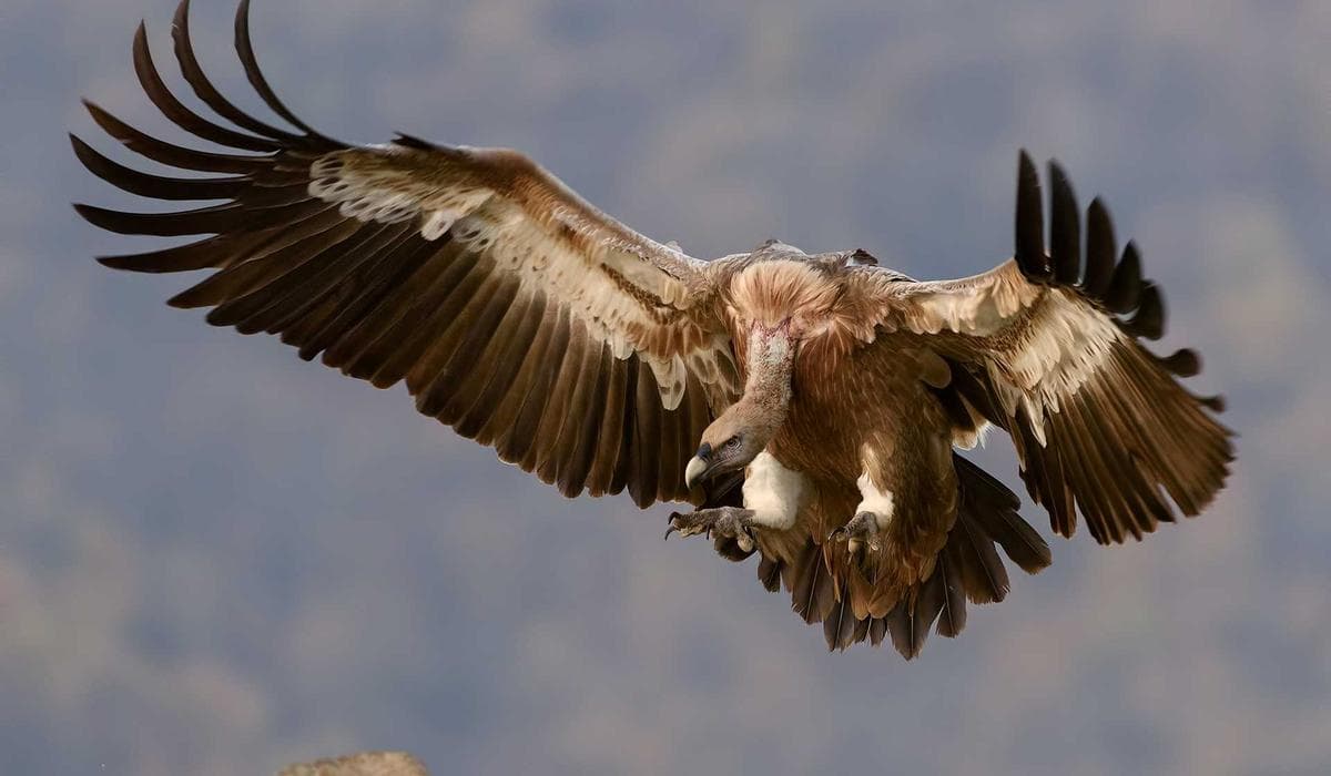 ग्रामीण पर्यटन प्रवर्द्धनका लागि होमस्टे प्रोत्साहन कार्यक्रम